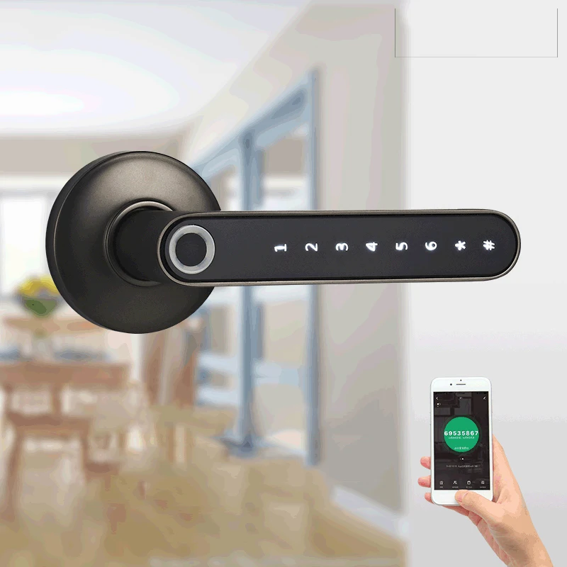 Password Finerprint Smart Lock 1