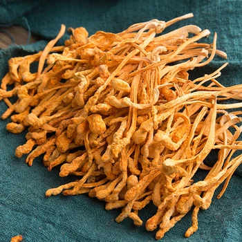 

Pure Cordyceps Mushroom Extract Powder to make by Real Mushrooms Organic 500g