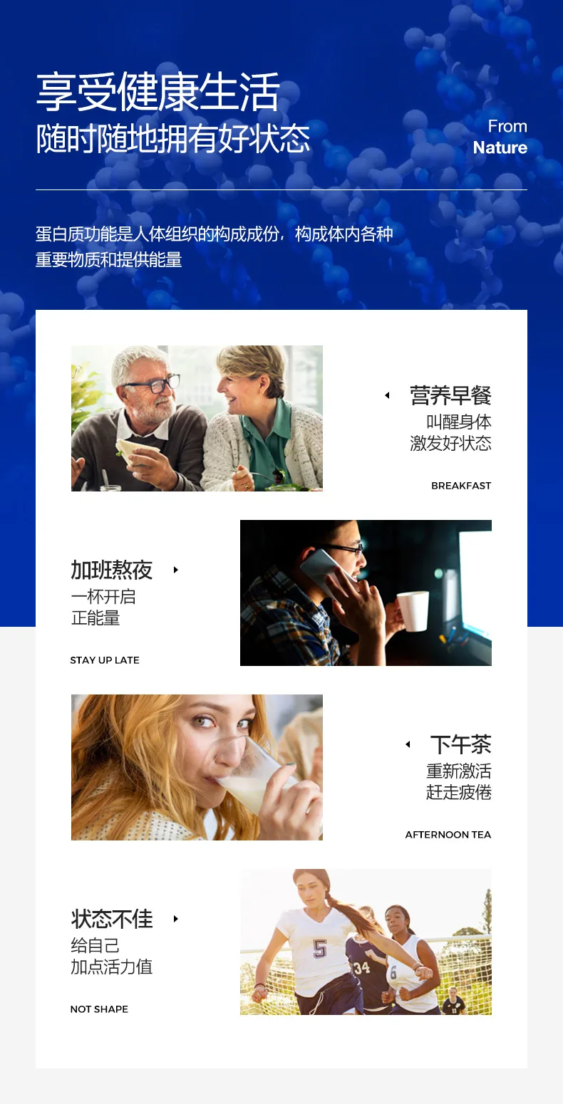 02-营养蛋白质粉_04.jpg
