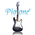 pigtone Store