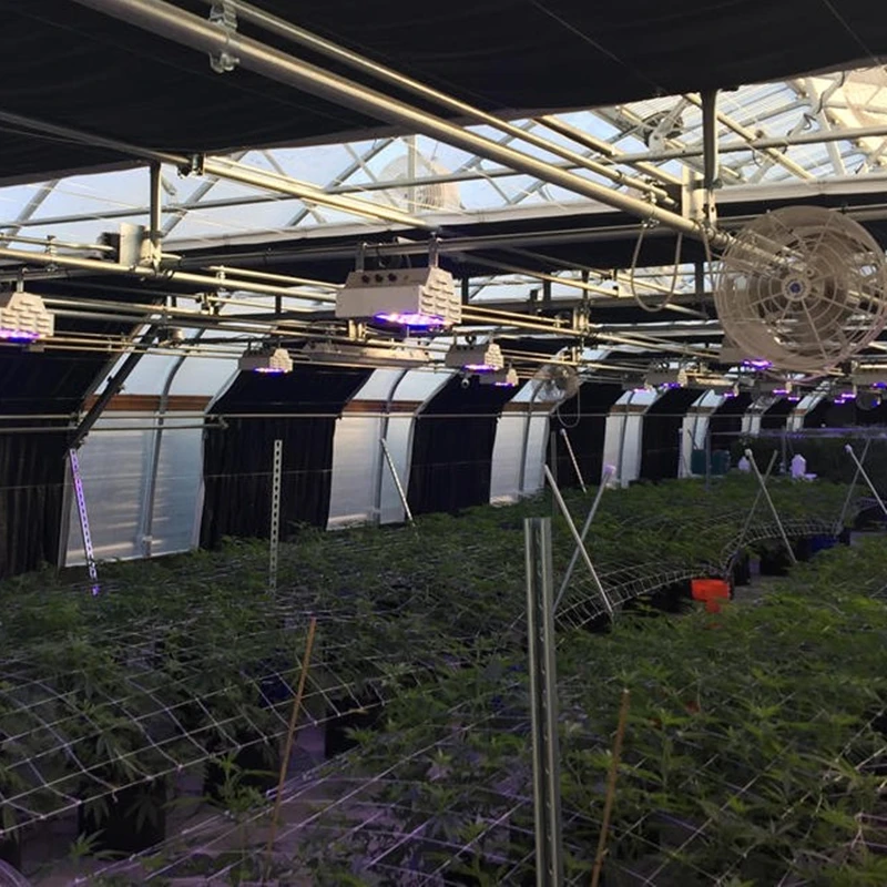 Рисунок 3 - Теплица для выращивания трав