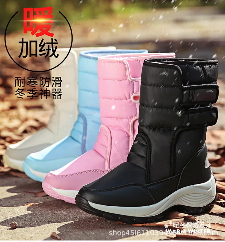 750_01.jpg