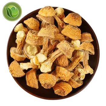 

Dried Almond Mushroom/Agaricus Blazei/Jisongrong