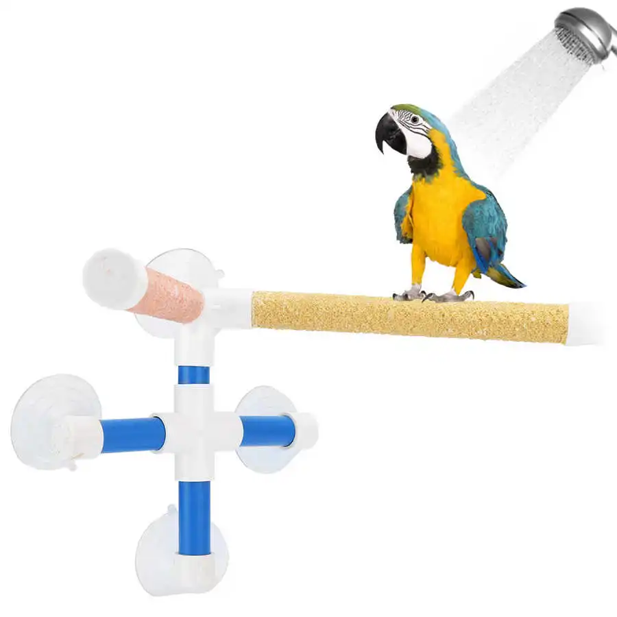 bird grooming tools