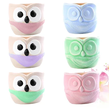 

6pcs Small Creamic Flower Pot Succulent Plant Flower Pot Decorative Owl Plant Pot Storage Container for Home Garden (Mixed Color
