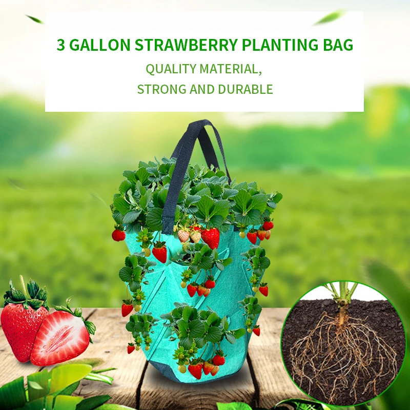 3 галлона сажалка для клубники ткань клубника посадки мешок дышащая горшок с