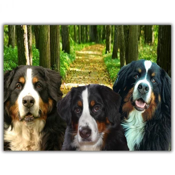 

diy diamond paint,Bernese Mountain dog diamond painting completely full square round diamond mosaic Diamond embroidery JS5599