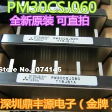 PM30CSJ060 IPM