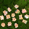 40 pcs/pack cute Little bear's Diary Journal Decorative Stickers Scrapbooking Stick Label Diary Stationery Album Stickers ► Photo 3/5