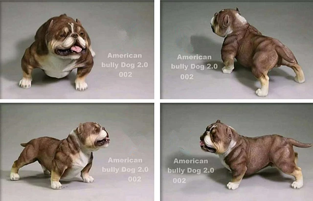 JXK 1/6 Mini Bully Dog Model Animal American Bully Pitbull Toy Collector  Decor