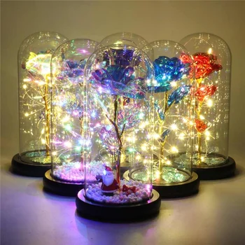

Flower Glass Vase LED Glass Display Dome Globe Box Bottle with Wooden Base Flower Landscape Holder Night Light Decor for Wedding