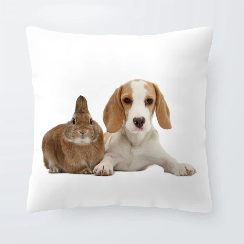 Милая популярная наволочка для собаки с животными Beagle Shih Tzu Dog Бостон-терьер декоративная наволочка для гостиной подушка для кошки кролик подушка