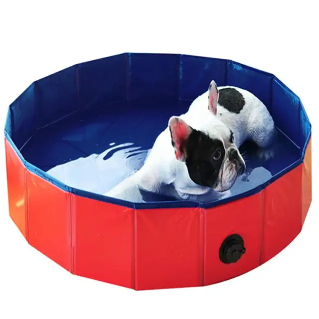 Piscina para perros 5