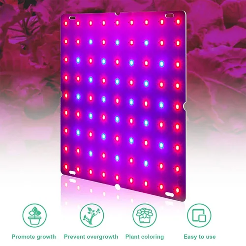LED 식물 성장 조명, 전체 스펙트럼 수경 재배 램프, 식물 채소 꽃, 실내 초박형 패널, 식물 램프, 1000W, 2000W 3
