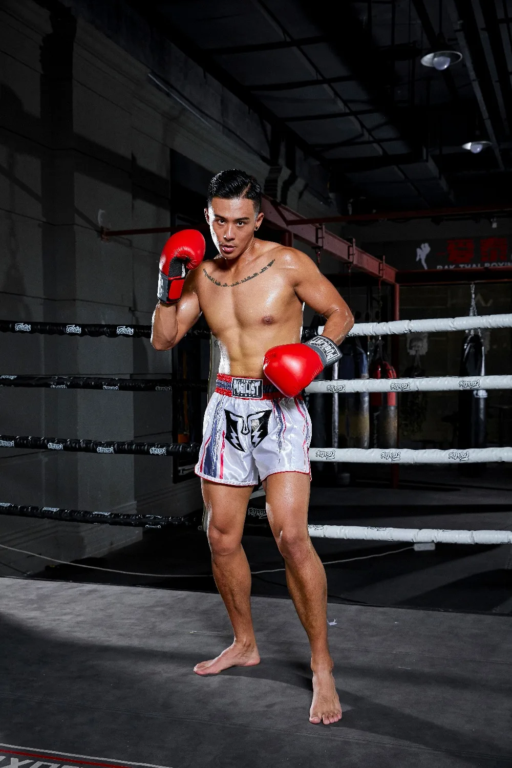 PUGILIST thai-black thai-pants шорты mma шорты для единоборств Бодибилдинг боевые искусства тренировочные боксеры