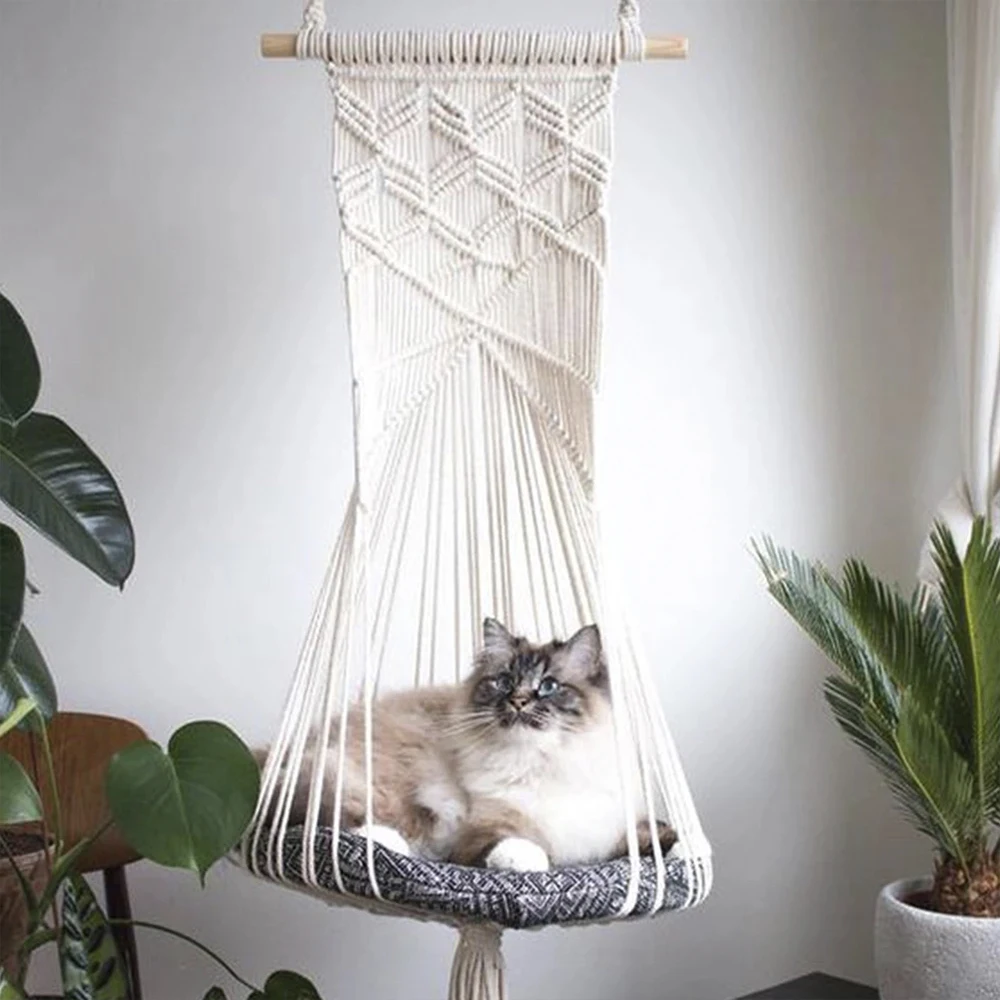 chewy cat hammock