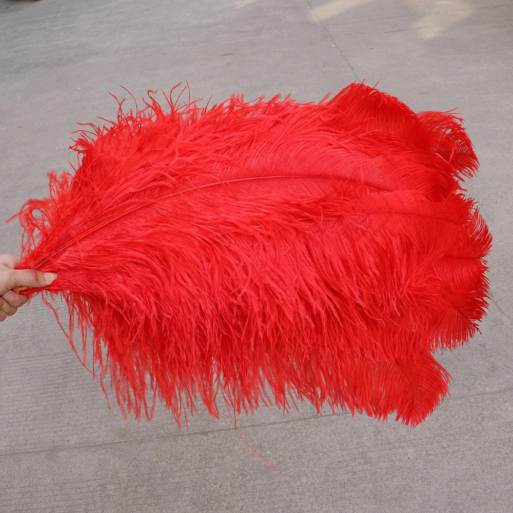 TS0165003 65-70cm ostrich feathers 2