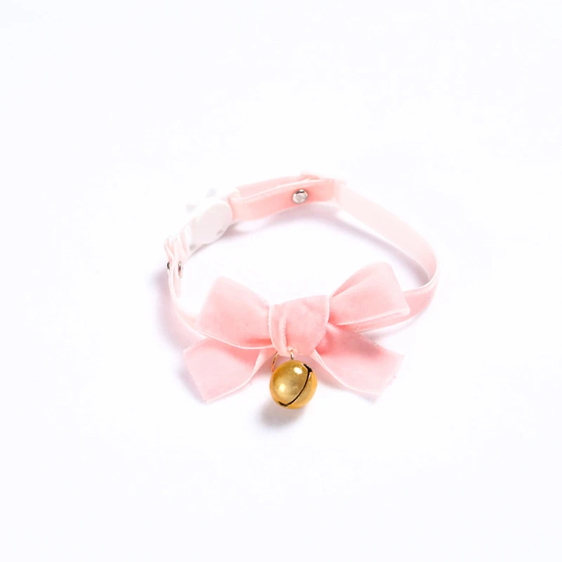 13913637062_1199050608