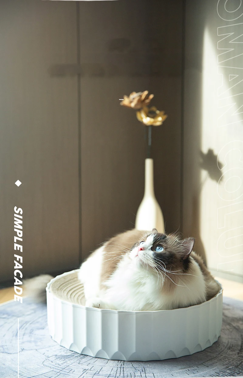 17520242543_1825092455