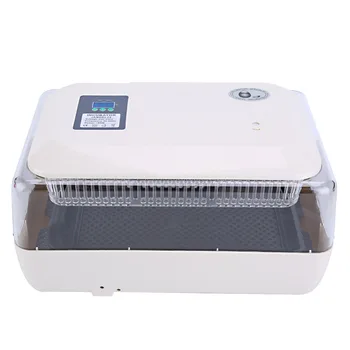 Buy Professional AC 220V 85W Incubator Hatcher Digital Clear Egg Turning Incubator Hatcher Temperature Control Tools Instrument