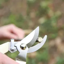 Садовые ножницы из нержавеющей стали, инструмент для прививки фруктовых деревьев, ножницы для обрезки бонсай, садовые ножницы, секаторы, ножницы