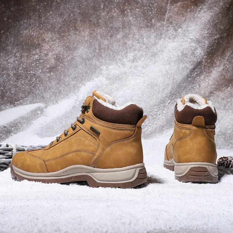 10007808037_1490507648