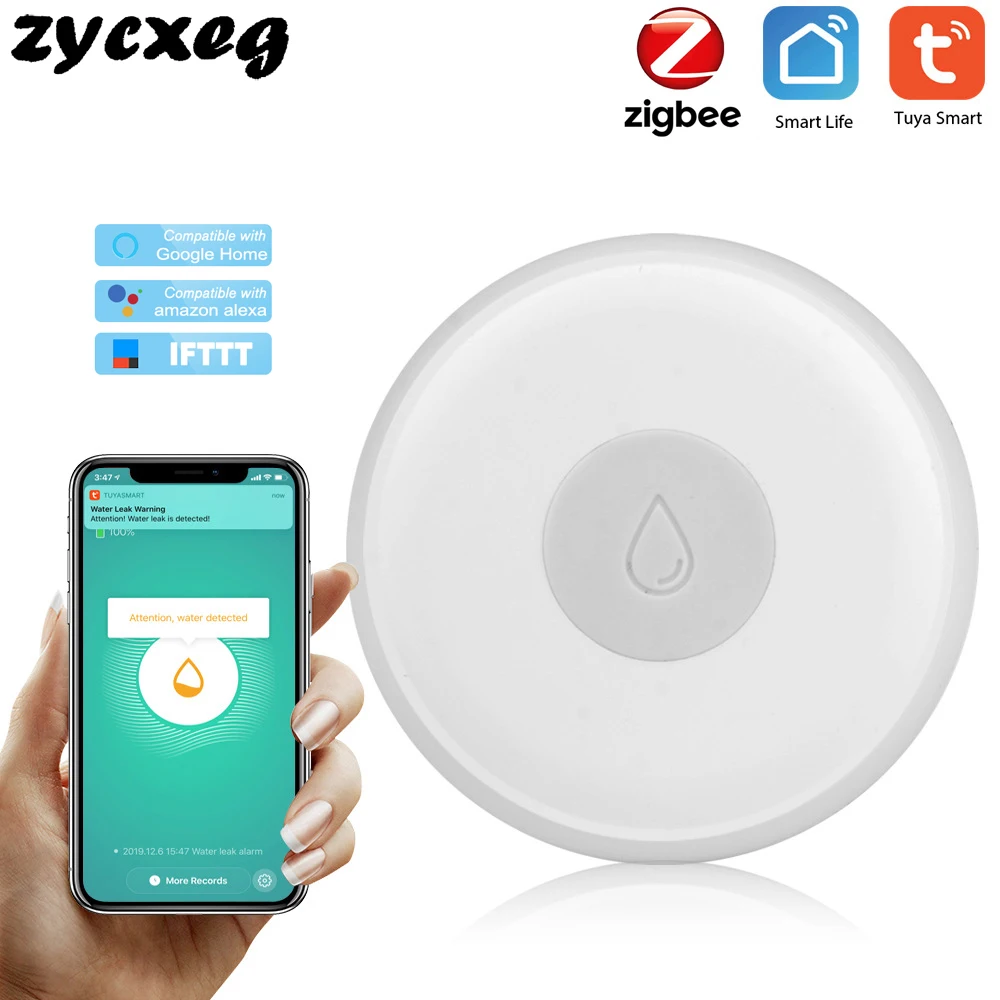 google home leak detector