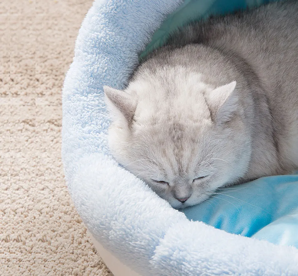 Cute Cat Bed Semi-closed Cats House Soft Warm Small Medium Dog Bed Pet House Built-in Fun Decoration for Cat Teddy Chihuahua Mat-116