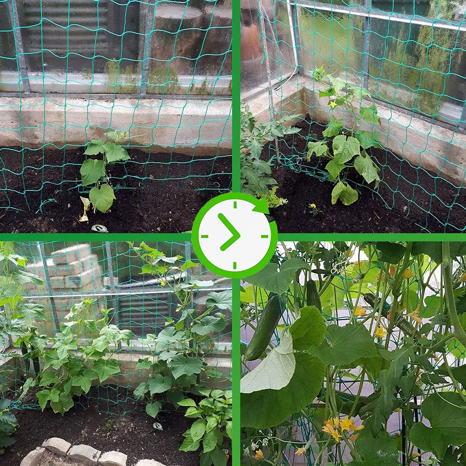 45/36/24 Strands of 10x10cm Cell Plant Climbing Net Garden plant Shelves Net Vegetable Flower Net Garden Weaving Grow Frame 4
