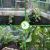 45/36/24 Strands of 10x10cm Cell Plant Climbing Net Garden plant Shelves Net Vegetable Flower Net Garden Weaving Grow Frame 4
