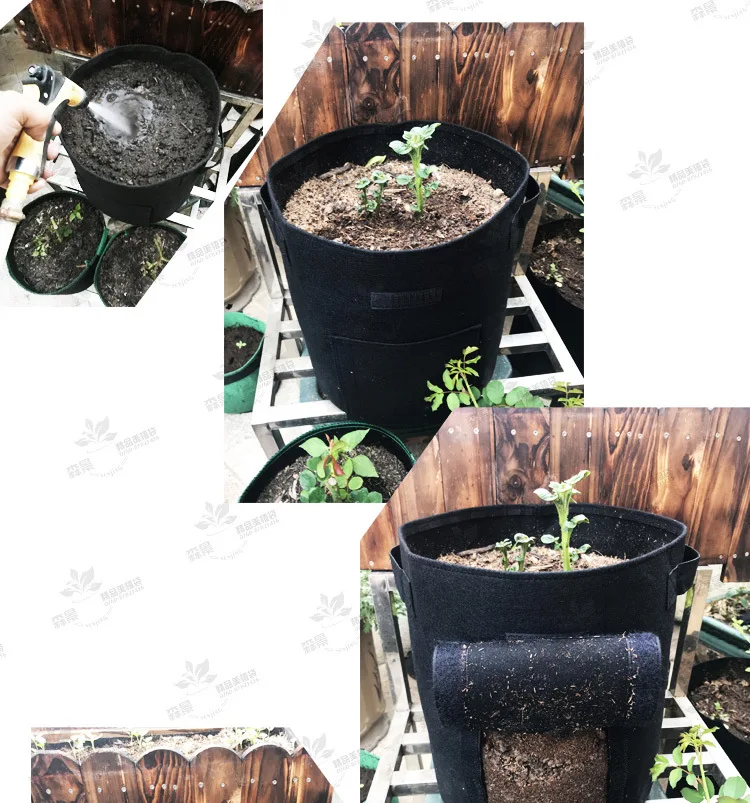 9544623528_1432856766