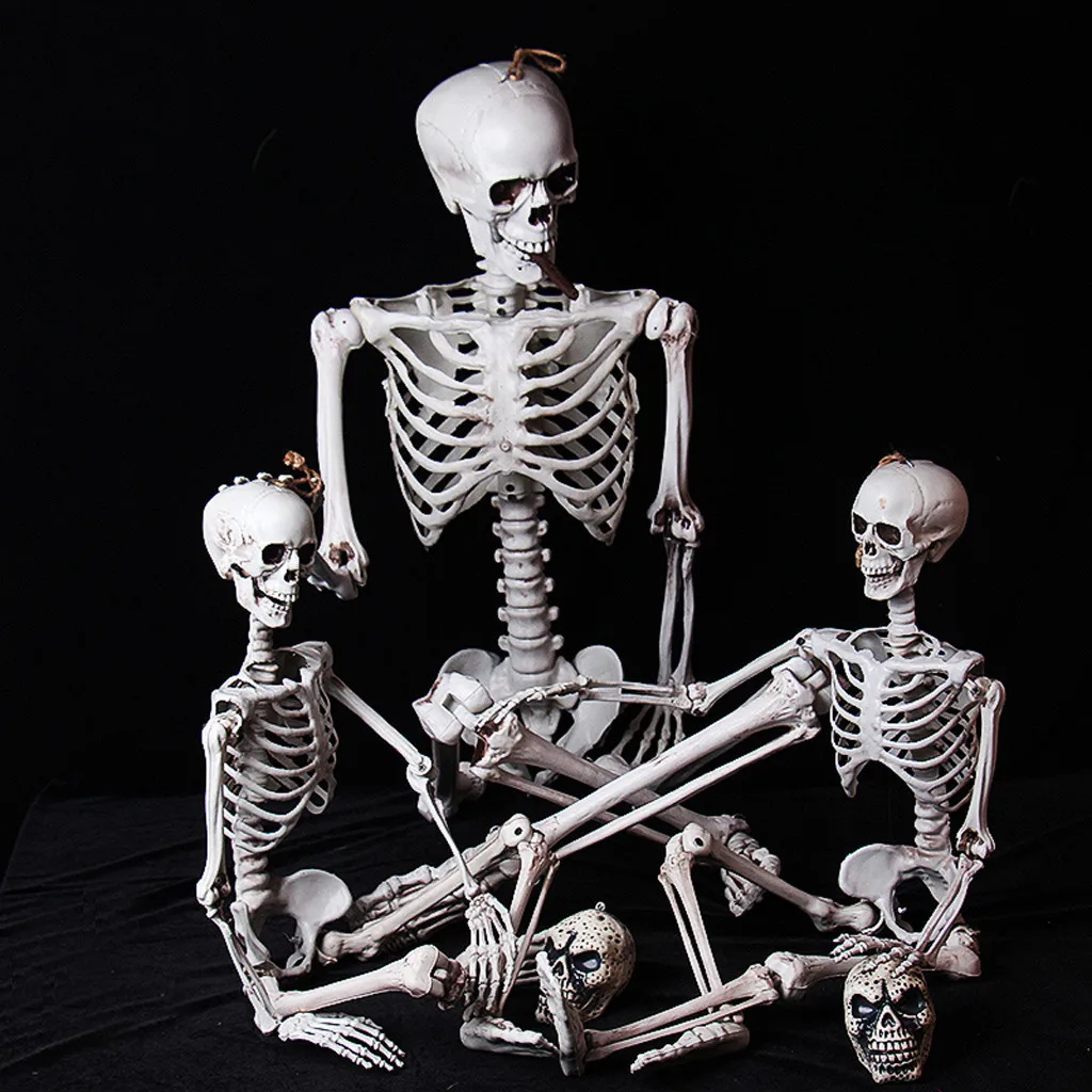 Человека вечерние украшения на хэлоуин, популярный товар Poseable полные Размеры Скелет анатомическая
