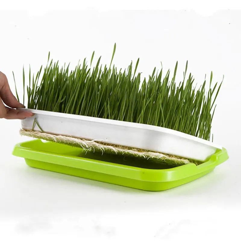 Bean Sprouts Double-layer Dishes Plate Seedling Tray Plastic Hydroponic Flower Basket Flower Plant Home Garden Nursery Pots New