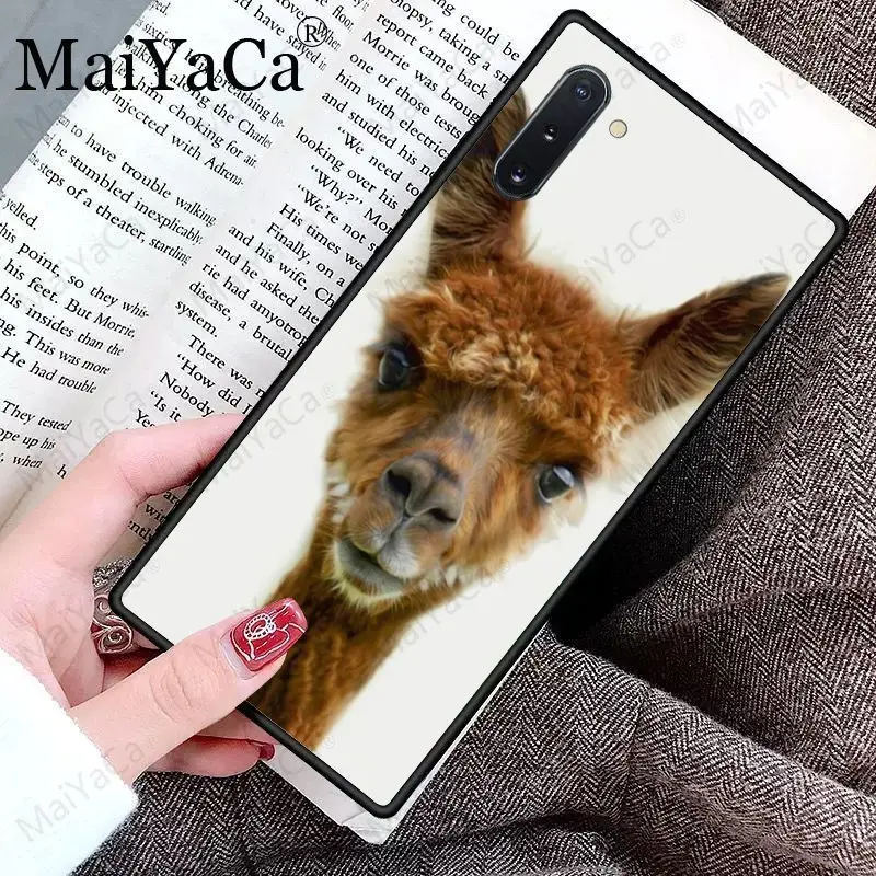 Cute Goat Meme Alpaca