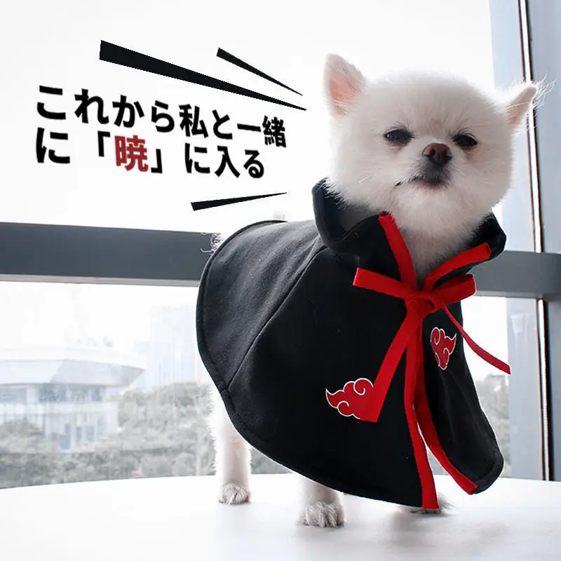 naruto dog costumes