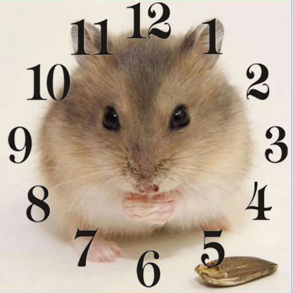 QQ截图20200518002441