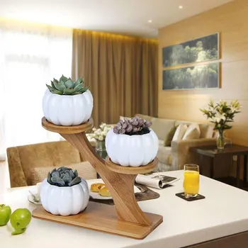 

3 Tier Indoor Home Planter With Drainage Modern Mini Pumpkin Succulent Pots Garden Desk Decoration Office Bamboo Stand Set