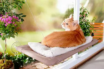

Bearing 20kg Cat Sunny Seat Window Mount Pet Cat Hammock Comfortable Cat Pet Bed Shelf Seat Beds Cute Pet Hanging Beds