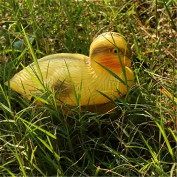 

3pcs Baby Ducking Floating Duck Ducklings Fish Pond Ornament Plastic Decoy