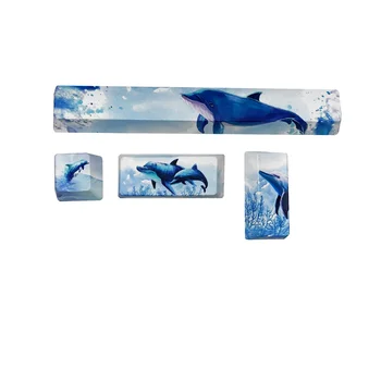 

4 PCS 5-side Dye-sublimated PBT Keycaps Spacebars Novelty Keycaps ESC Enter Keys OEM Profile Fit Cherryy MX Switches