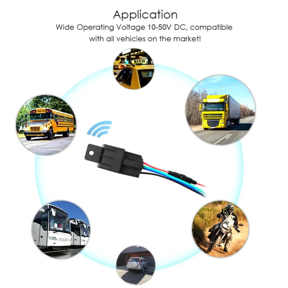 305582_no-logo_305582-1-02-g