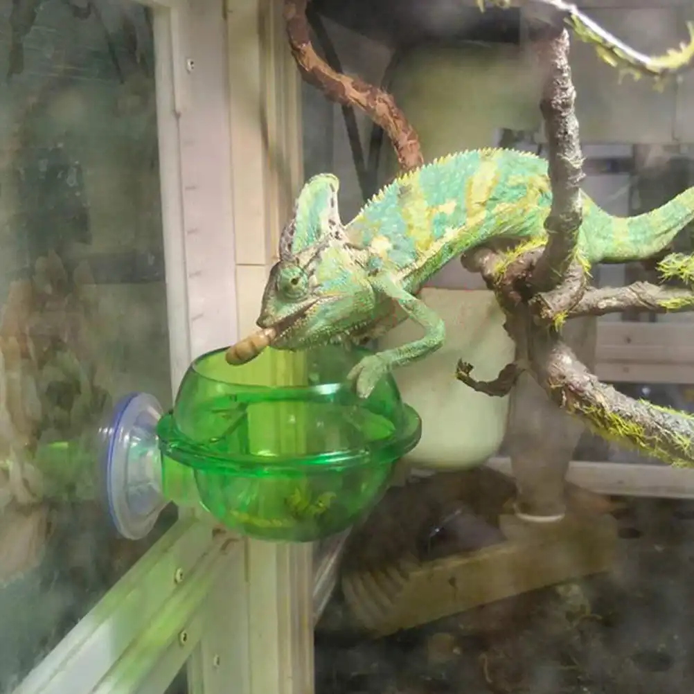 Reptile Feeder Water Dish Gecko Ledge Suction Cup Feeder Pet