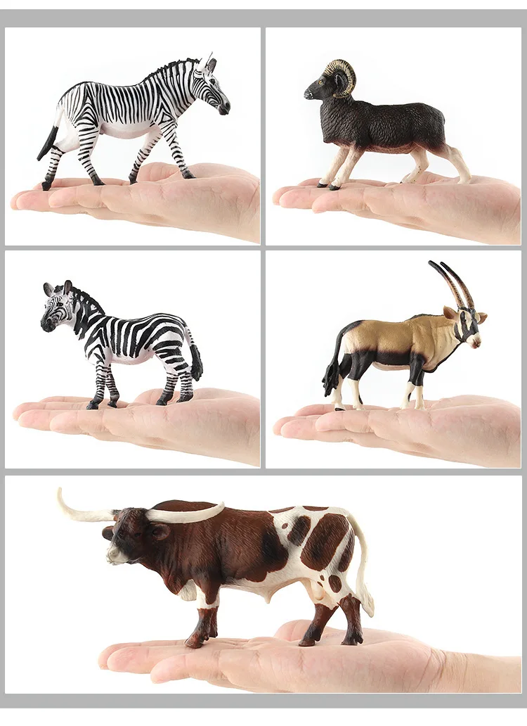 9160025664_920392923