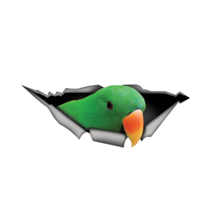 

Personality Eclectus Roratus 3D Car Sticker Vinyl Waterproof Car Window Accessories Decorative Boot Art Pattern PVC 13cm X 5cm