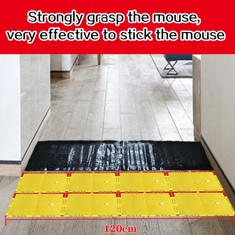 10355095896_458044161