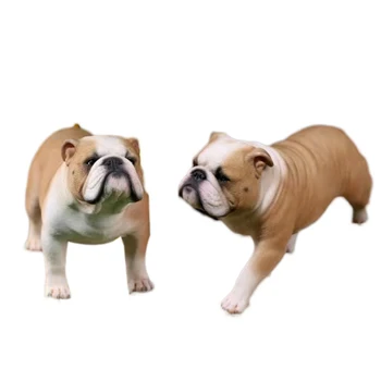 

2Pcs 1/6 13 x 8.5 x 5cm Realistic Animal Model Soft Hand Painted Fashion Bulldog Toy (005)