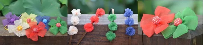 1005212294_1563362552