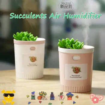 

USB Succulents Air Humidifier Portable Aroma Air Diffuser With Romantic Night Lamp Humidificador Difusor Oil Diffuser Home 350ml