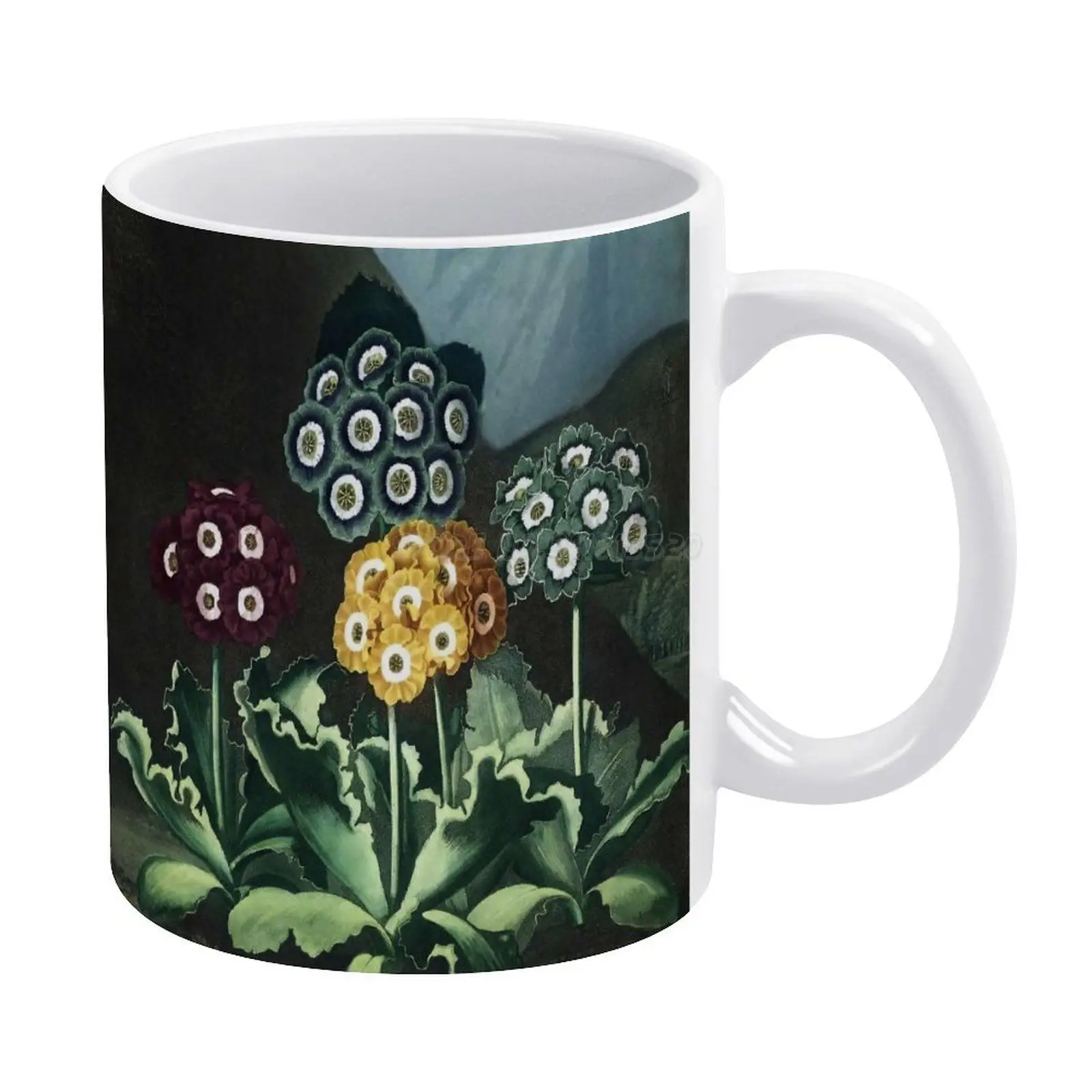 Auriculas-The Temple of Flora белая кружка с растительным принтом 11 унций забавная