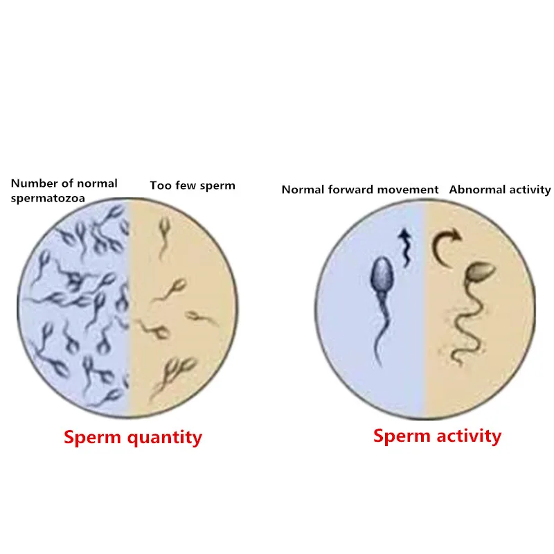 Экстракты гербалов, улучшает Мужская фертильность и увеличивает количество сперматозоидов, Мужское здоровье